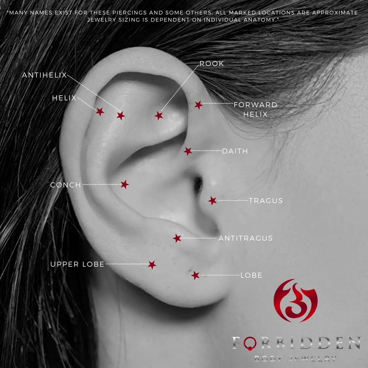 Forbidden Body Jewelry Piercing Jewelry, Tragus Piercing Jewelry, Tragus Jewelry, 14G-18G Internally Threaded Surgical Steel, Helix Earring and Labret Stud with Ball Top